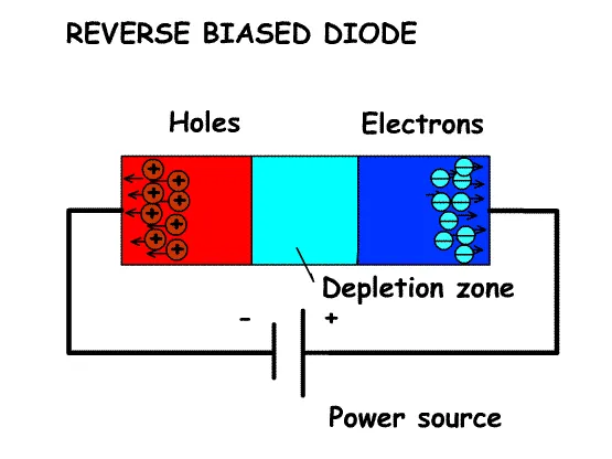Polarização reversa