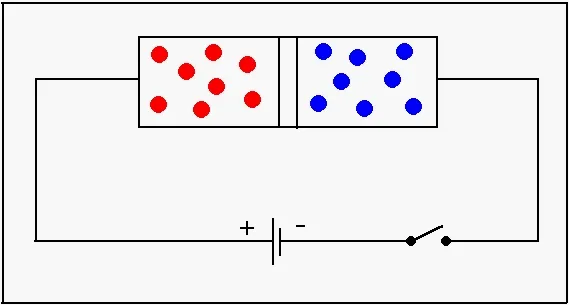 Polarização direta